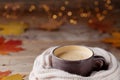 Autumn background from cup of cocoa or coffee in knitted scarf on wooden table decorated with fall leaves. Cozy hot drink.
