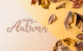 Autumn background decor from dry leaves on pastel paper background. Flat lay, top view with copy space for Autumn, fall, Royalty Free Stock Photo