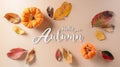 Autumn background decor from dry leaves and pumpkin on pastel paper background. Flat lay, top view with copy space for Autumn, Royalty Free Stock Photo