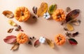 Autumn background decor from dry leaves and pumpkin on pastel paper background. Flat lay, top view with copy space for Autumn, Royalty Free Stock Photo