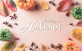 Autumn background decor from dry leaves and pumpkin on pastel paper background. Flat lay, top view with copy space for Autumn, Royalty Free Stock Photo