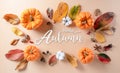 Autumn background decor from dry leaves and pumpkin on pastel paper background. Flat lay, top view with copy space for Autumn, Royalty Free Stock Photo