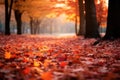 An autumn background with a dense forest, tree branches with vibrant red and orange leaves Royalty Free Stock Photo