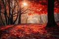 An autumn background with a dense forest, tree branches with vibrant red and orange leaves Royalty Free Stock Photo