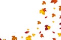 Autumn background design. Autumn falling red, yellow, orange and brown leaves isolated on white background. Vector autumnal foliag Royalty Free Stock Photo