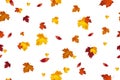 Autumn background design. Seamless pattern. Autumn falling red, yellow, orange and brown leaves isolated on white background. Vect