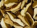 Autumn background with dried porcini mushrooms.