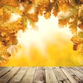 Autumn background with empty wooden board, fall yellow oak leaves and abstract bokeh light Royalty Free Stock Photo