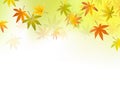 Autumn background - fall leaf
