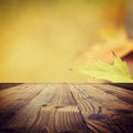 Autumn background, fall leaf concept Royalty Free Stock Photo