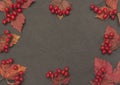 Autumn background with fall leave and fruits on black background