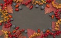 Autumn background with fall leave and fruits on black background