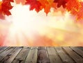 Autumn Background with Fall Leaves, Abstract Light Steam