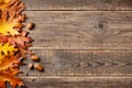 Autumn background with fall oak leaves on wooden background Royalty Free Stock Photo