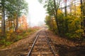 Autumn background with fallen leaves on abandoned train tracks Royalty Free Stock Photo