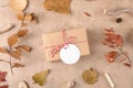 Autumn background: fallen leaves, dry plants with handmade gifts wrapped in craft paper and rope with gift tag mockup Royalty Free Stock Photo