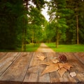 Autumn background of fallen leaves over wooden table and forest backgrond with lens flare and sunset Royalty Free Stock Photo