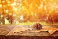 Autumn background of fallen leaves over wooden table and forest backgrond with lens flare and sunset Royalty Free Stock Photo