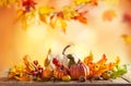 Autumn background from fallen leaves and pumpkins on wooden vintage table. Autumn concept with red-yellow leaves background. Royalty Free Stock Photo