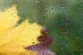 Autumn background - falling maple and oak leaves, window glass with rain drops, rainy day, season is fall. Royalty Free Stock Photo