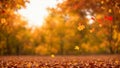 autumn background. Falling yellow leaves and park bokeh background with sun beams. Autumn landscape. autumn background with maple