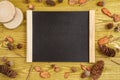 Autumn background. flat lay. pieces of wood, cones, acorns and a Board with space for text on a green grunge wooden background Royalty Free Stock Photo
