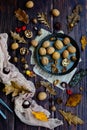 Autumn background flat lay. Walnuts, autumn leaves, berries, anise, acorns, pine cones on a rustic dark wood. Hello Royalty Free Stock Photo