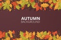 Autumn background with folded paper leaves. vector illustration Royalty Free Stock Photo