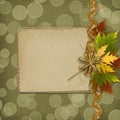 Autumn background with foliage Royalty Free Stock Photo