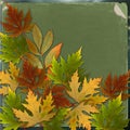 Autumn background with foliage and grunge paper Royalty Free Stock Photo