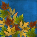 Autumn background with foliage and grunge papers Royalty Free Stock Photo