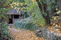 Autumn background, footpath covered with maple leaves lead to the canopy Royalty Free Stock Photo