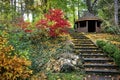 Autumn background, footpath steps lead to the canopy. Autumn leaf colour in October in a public park Royalty Free Stock Photo