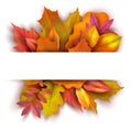 Autumn background with forest fall leaves. October holiday nature vector banner design