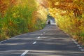 Autumn background with forest and wagon on road