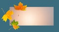 Autumn background with frame. autumn maple falling three leaves