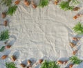 Autumn background with frame of evergreen trees, cones and acorns on gray linen textile.