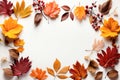 Autumn background of a frame of fallen leaves with copy space