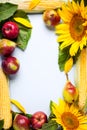 Autumn background. frame made of sunflower, corn and pears. Royalty Free Stock Photo