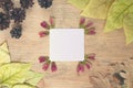 Autumn background - frame of multi-colored autumn leaves with a sheet of paper for text on a wooden background Royalty Free Stock Photo