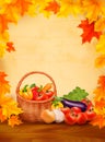 Autumn background with fresh vegetables in basket.