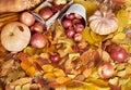 Autumn background, fruits and vegetables on yellow fallen leaves, apples and pumpkin, decoration in country style, brown toned Royalty Free Stock Photo