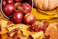 Autumn background, fruits and vegetables on yellow fallen leaves, apples and pumpkin, decoration in country style, dark brown tone Royalty Free Stock Photo