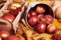 Autumn background, fruits and vegetables on yellow fallen leaves, apples and pumpkin, decoration in country style, dark brown tone Royalty Free Stock Photo