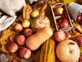 Autumn background, fruits and vegetables on yellow fallen leaves, apples and pumpkin, decoration in country style, dark brown tone Royalty Free Stock Photo