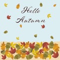 Autumn background with golden maple and oak leaves. Vector paper illustration.Vector set of greeting cards with autumn Royalty Free Stock Photo