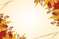 Autumn background with golden maple and oak leaves. Vector paper illustration.Vector set of greeting cards with autumn Royalty Free Stock Photo