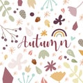 Autumn background. Hand drawn elements with autumnal colors on white background. Fruits, seeds, flowers, leaves, mushrooms,