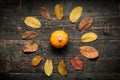 Autumn background. Happy Thanksgiving. Pumpkin and autumn leaves on dark wooden background. Royalty Free Stock Photo