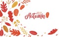 Autumn background. Hello Autumn calligraphy lettering. Autumn sketch design on white background. Natural print for Royalty Free Stock Photo